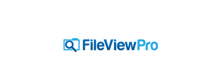 FileViewPro Crack + License Key Full Version 2021 Download